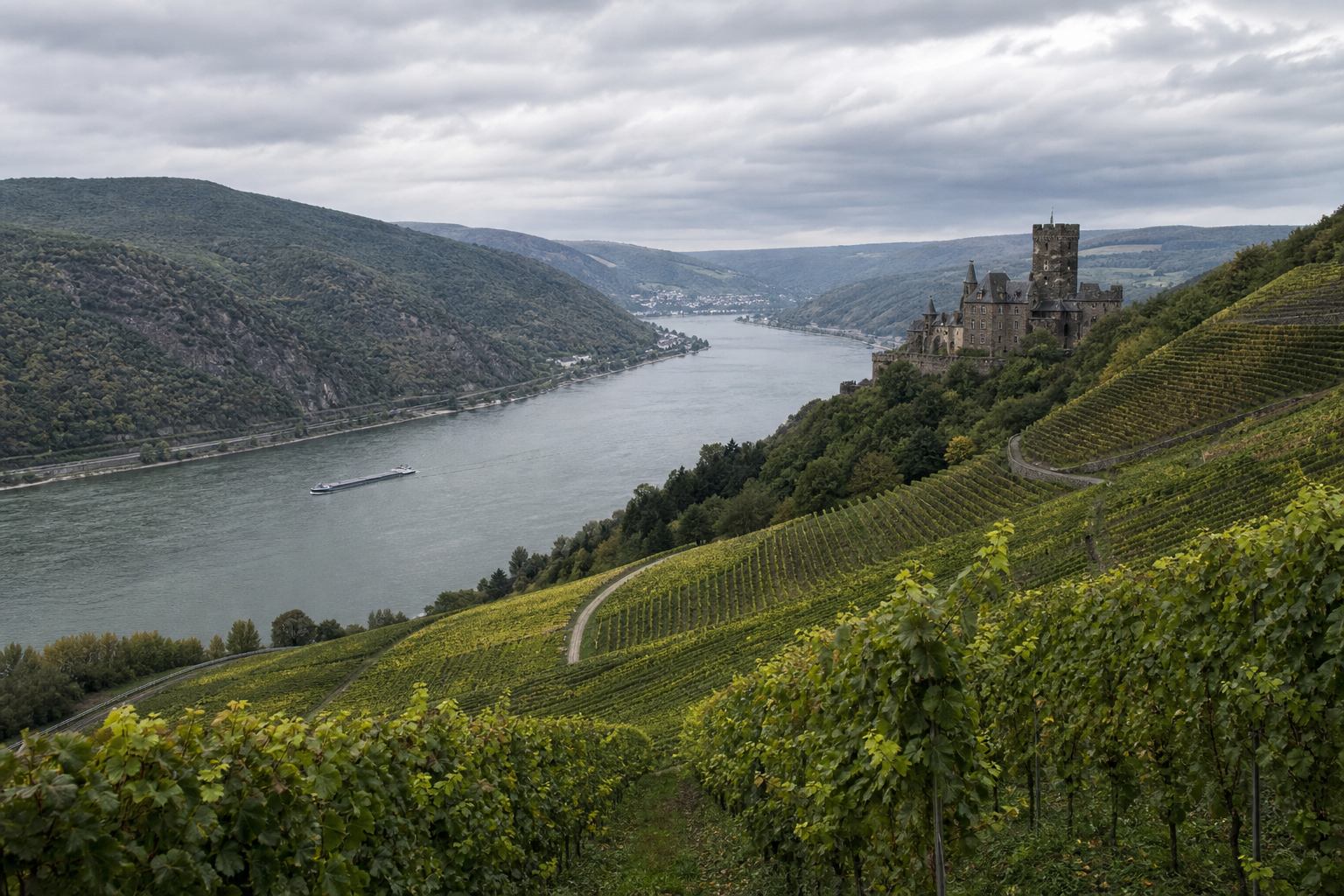 Burg über dem Rheintal